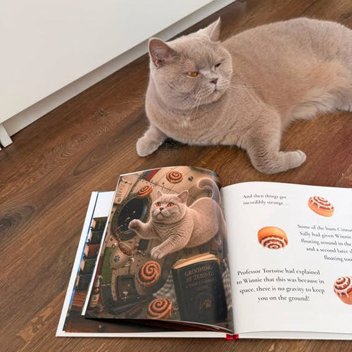 Apollo Pawteen: A Space Mission
