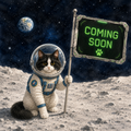 Apollo Pawteen: A Space Mission