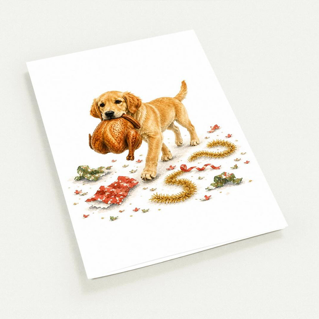 Personalised Pet Christmas Cards (pack of 10)