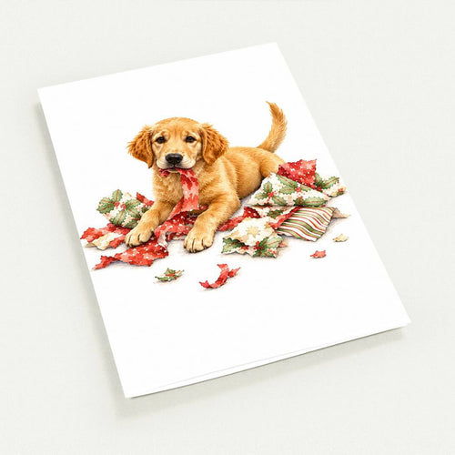 Personalised Pet Christmas Cards (pack of 10)