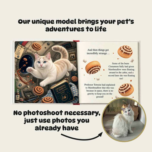 Apollo Pawteen: A Space Mission