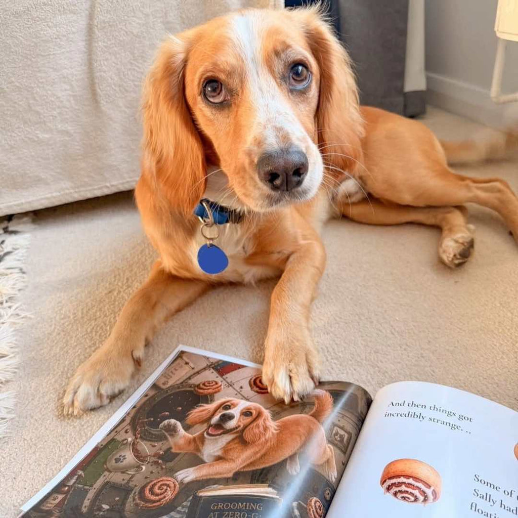 Personalised Pet Storybook - Apollo Pawteen: A Space Mission